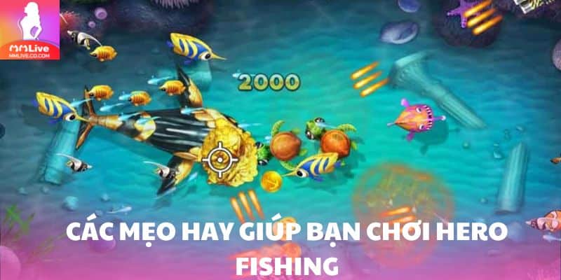 Hướng dẫn mẹo hay